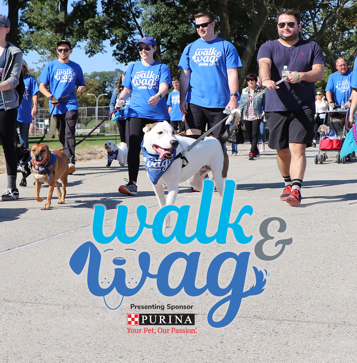 Walk & Wag Resources Get Involved Animal League