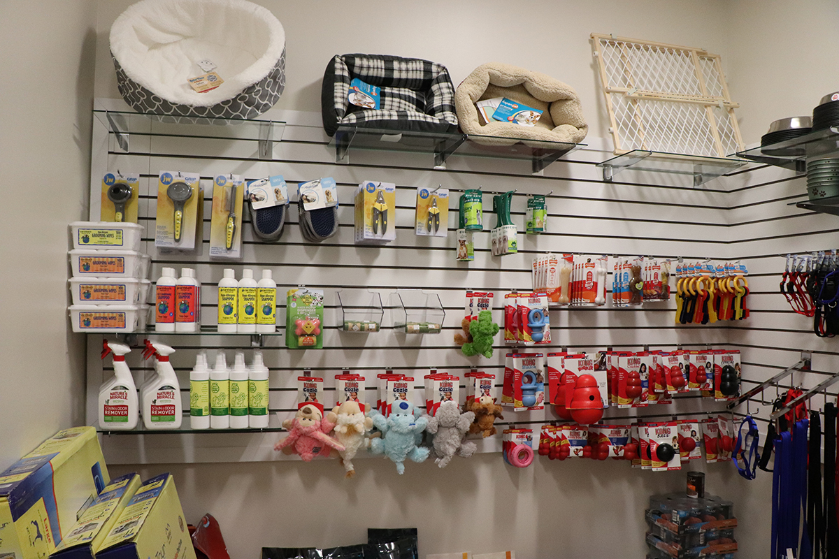 Pet Supplies for Dogs and Cats in Port Washington, NY Animal League