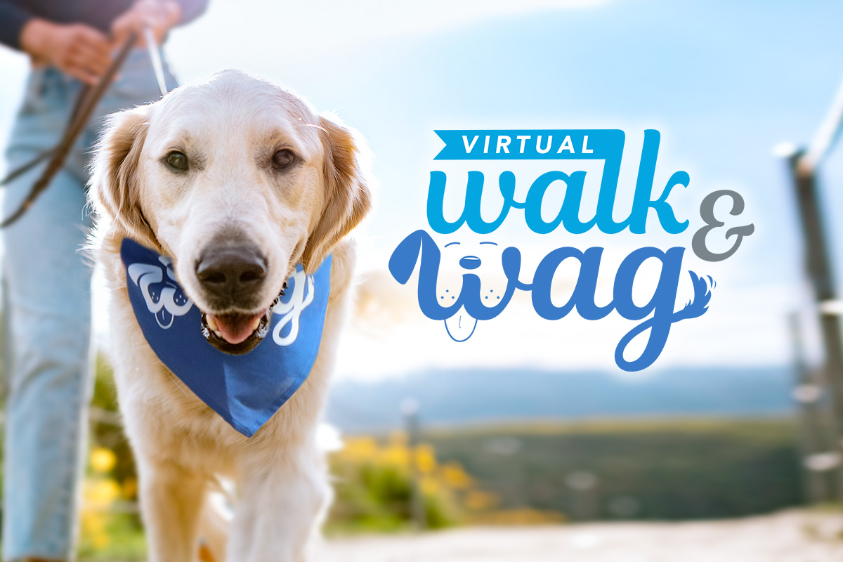2020 Virtual Walk & Wag Get Involved Animal League
