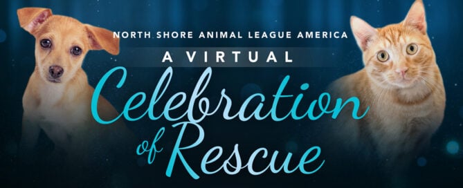 North Shore Animal League America Virtual Celebration.