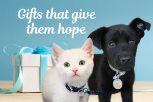 Gifts that give them hope.