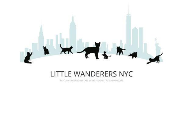 Little Wanderers NYC