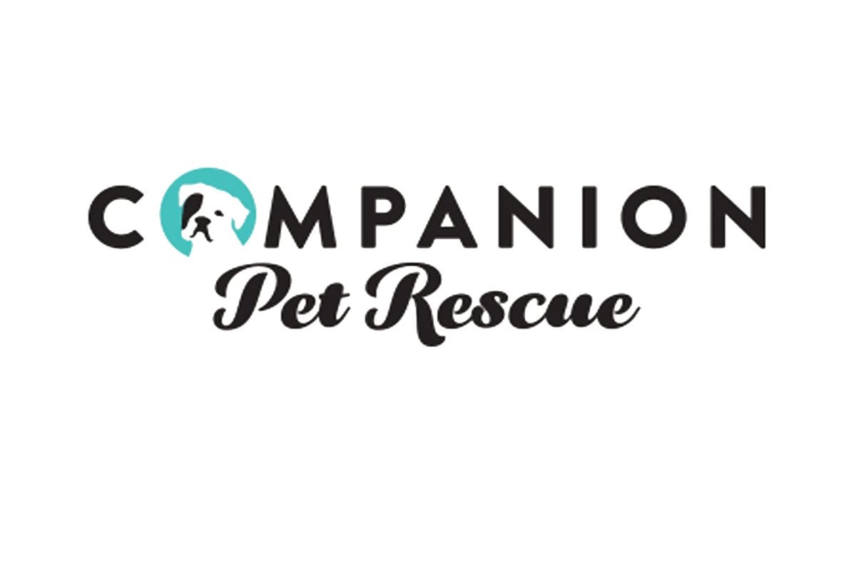 companion pet rescue in southbury ct