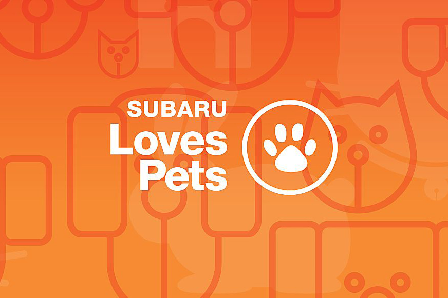 October is Subaru Loves Pets Month Animal League