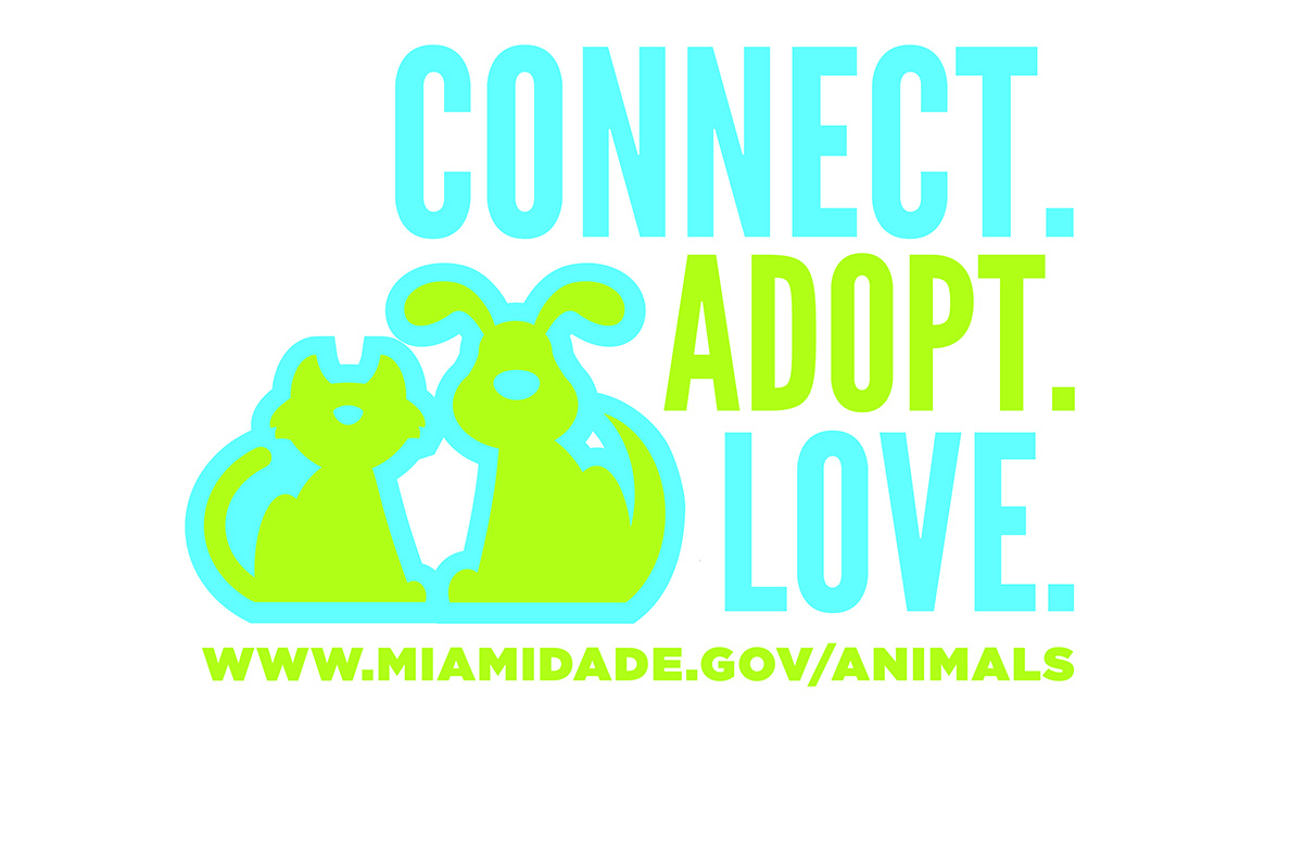 Miami-Dade Animal Shelter