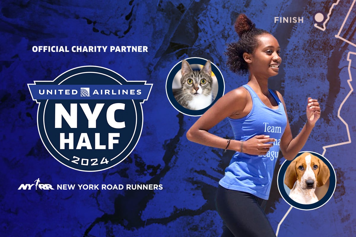 United Airlines NYC Half Marathon Fundraising Get Involved Animal