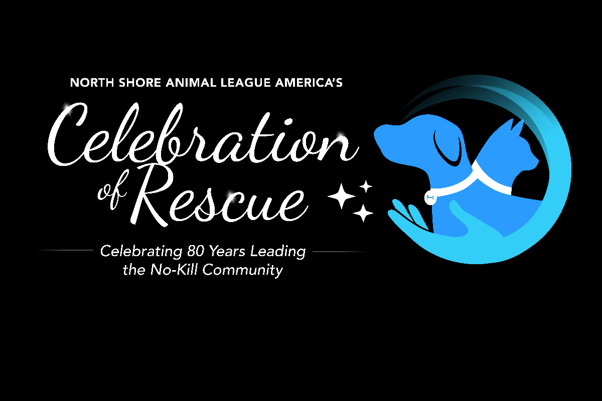 Celebration of Rescue 2024 Animal League