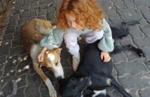 Mutt-i-grees® Curriculum Student Ambassador comforts dogs in Morocco.