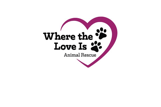 Where the Love Is Animal Rescue