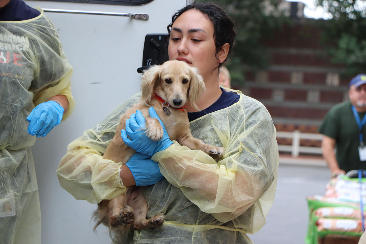 puppy mill rescue