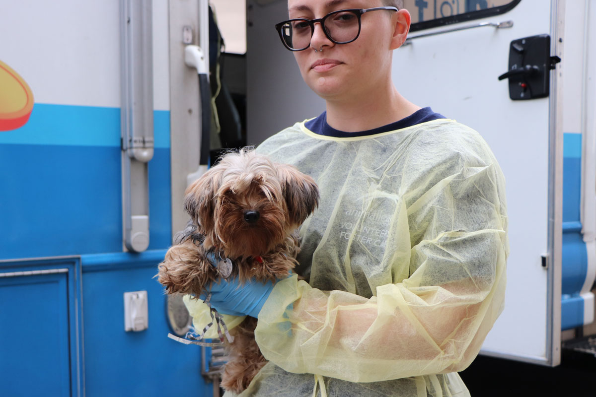 Puppy Mill Rescue