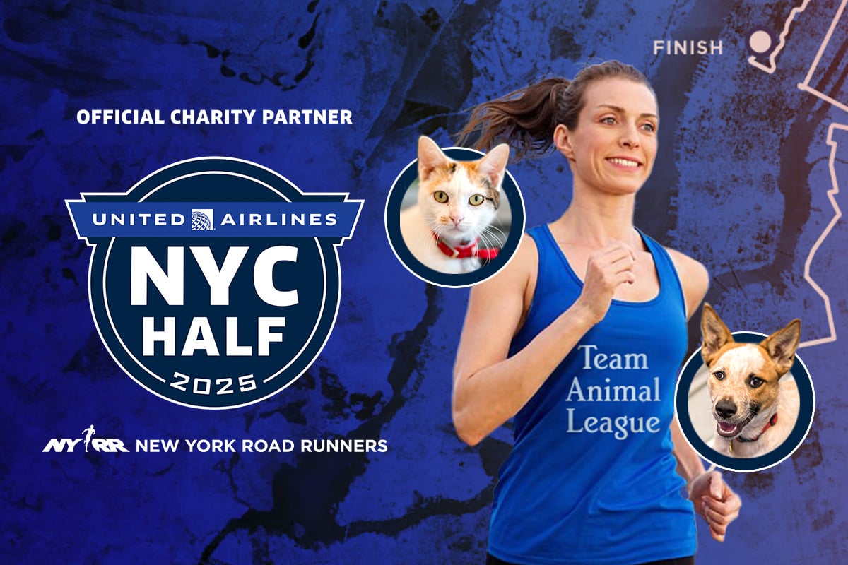 2024 United Airlines NYC Half Marathon