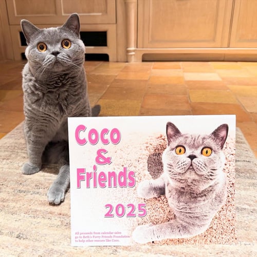 Coco & Friends Calenadr