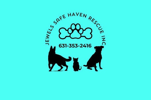 Jewels Safe Haven