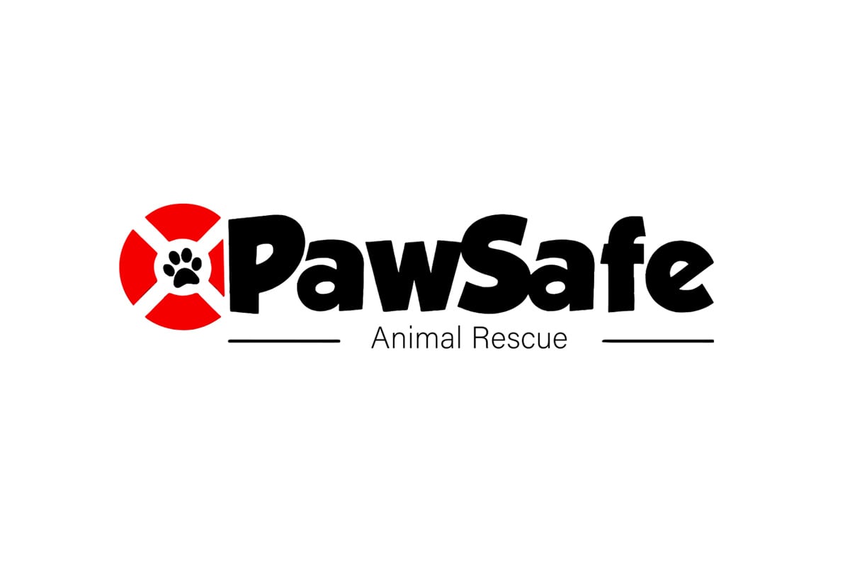 Paw Safe Animal Shelter