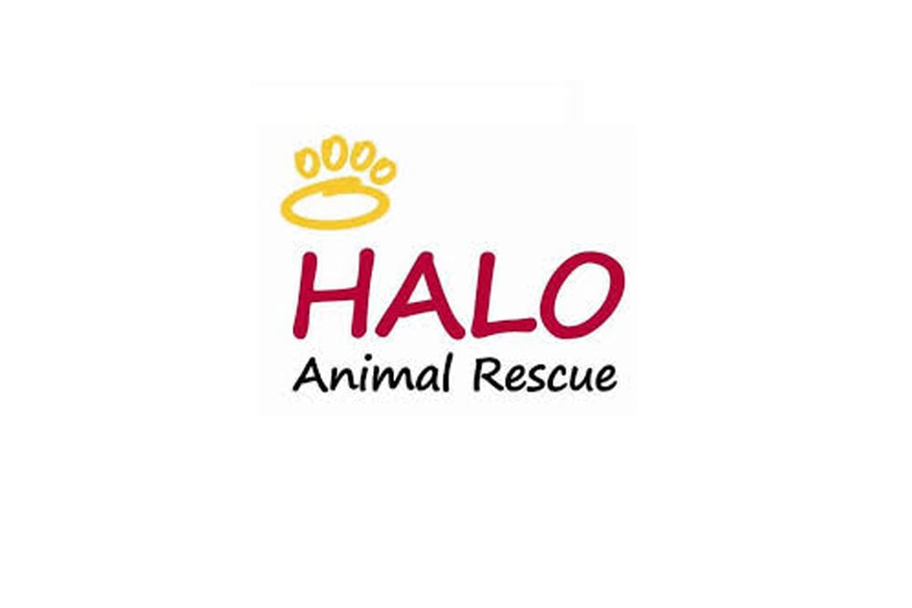 halo animal rescue tfl